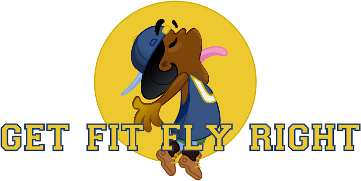 Get Flit Fly Right